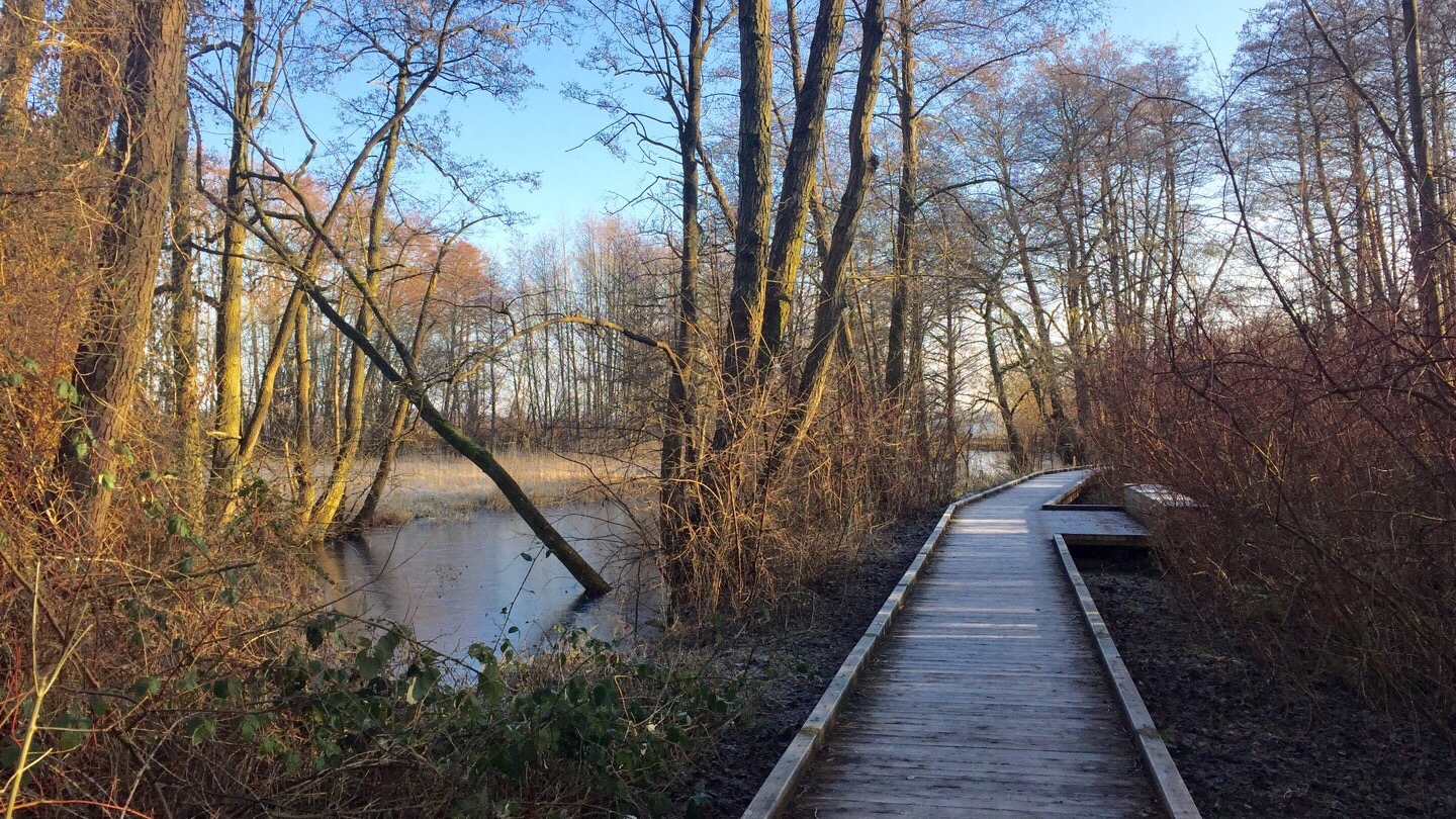 Schwerin Weg zu Adebors Näs