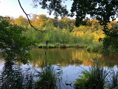 Schwerin Ziegelaußensee Schelfwerder