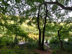 Schwerin Ziegelaußensee Schelfwerder