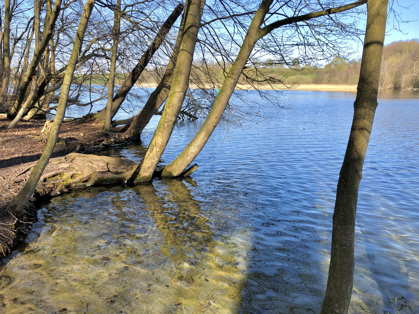 Schwerin Ziegelsee (Außensee)