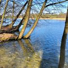 Schwerin Ziegelsee (Außensee)