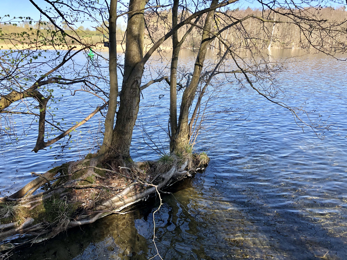 Schwerin Ziegelsee (Außensee)