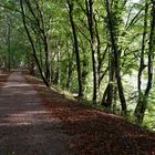 Schwerin Ziegelsee Rad- und Wanderweg