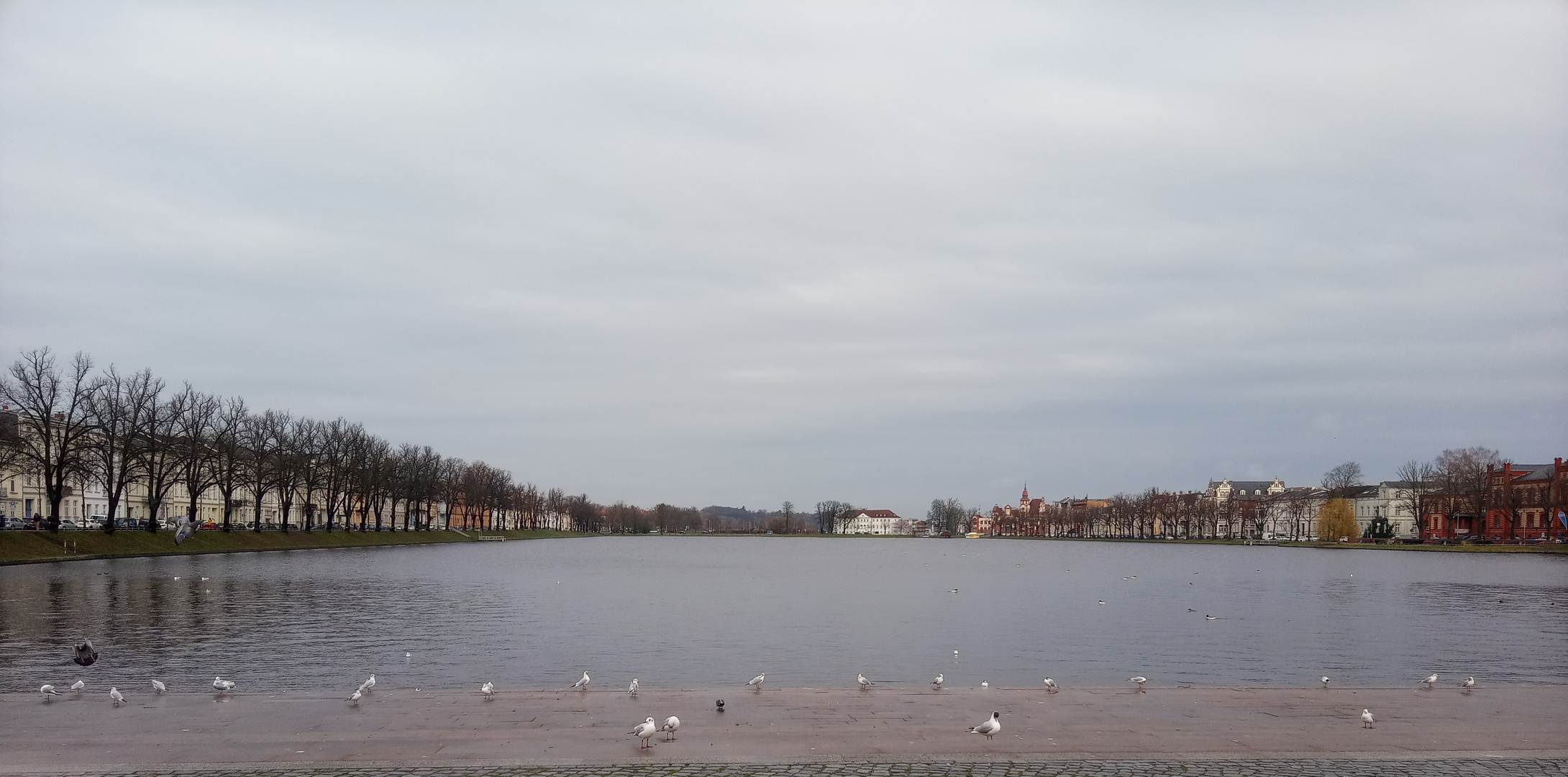 Schwerin_2020_02_29