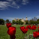 Schweriner Schloss - die BUGA kommt wieder ...