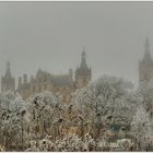 Schweriner Schloss im Nebel