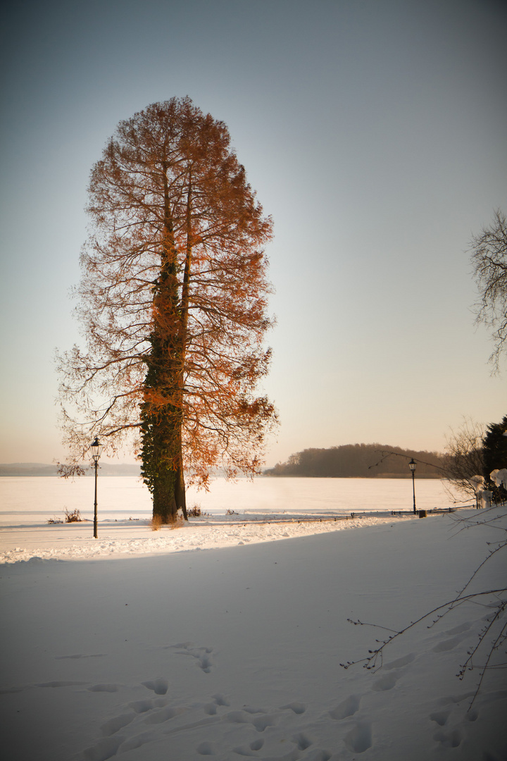 Schweriner Schlossgarten im Winter