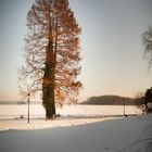 Schweriner Schlossgarten im Winter