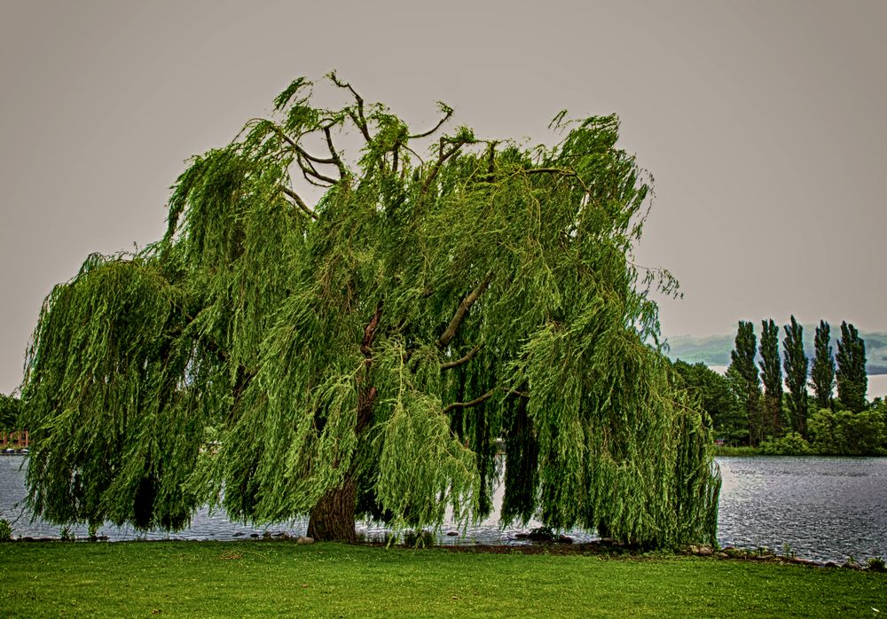 Schweriner Schloßpark_07