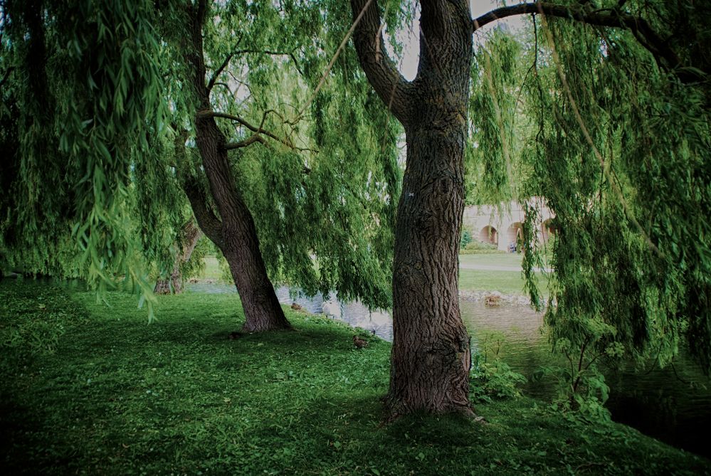 Schweriner Schloßpark_10