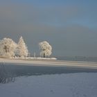 Schweriner See