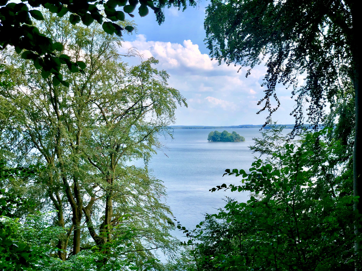 Schweriner See Insel Rethberg bei Wiligrad