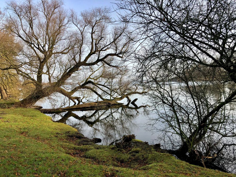 Schweriner See Schlossumgebung