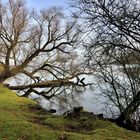 Schweriner See Schlossumgebung