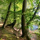 Schweriner See Uferweg bei Mueß