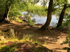 Schweriner See Uferweg bei Mueß