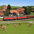 Schwerlastverkehr Allgäu like