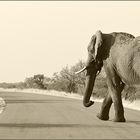 Schwerlastverkehr von rechts