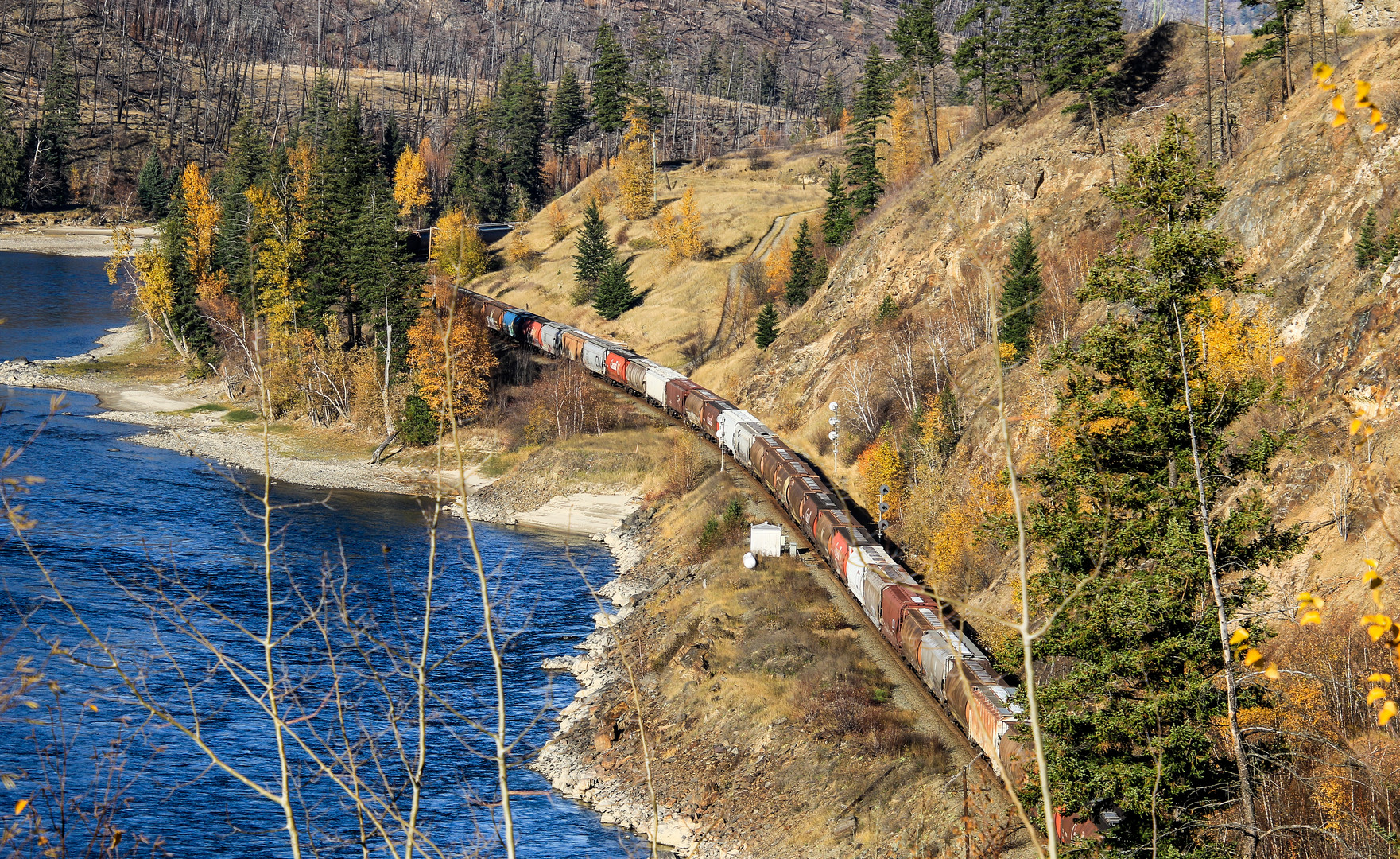 Schwerlastzug in den Rocky Mountains