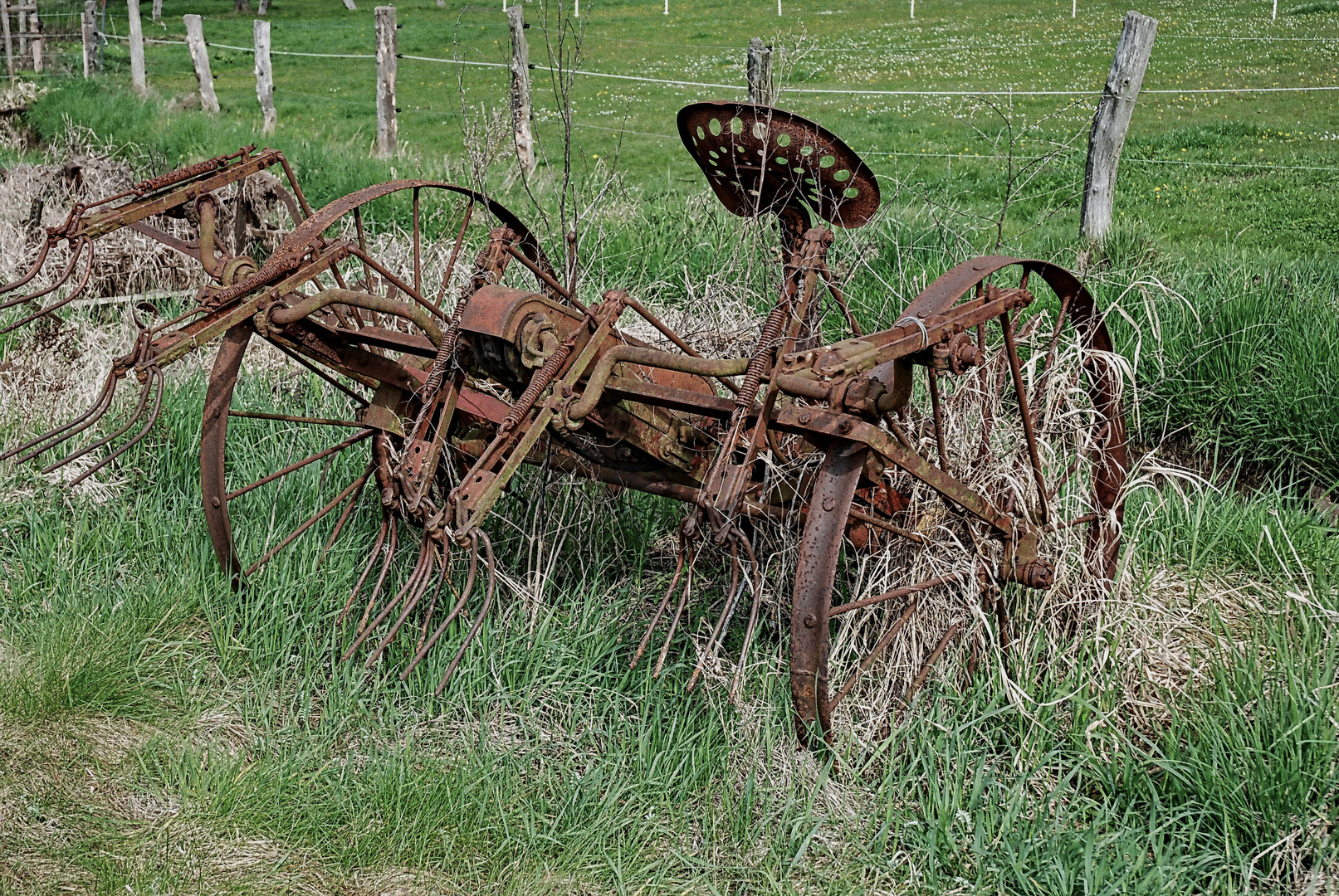 Schwerstarbeit auf dem Acker