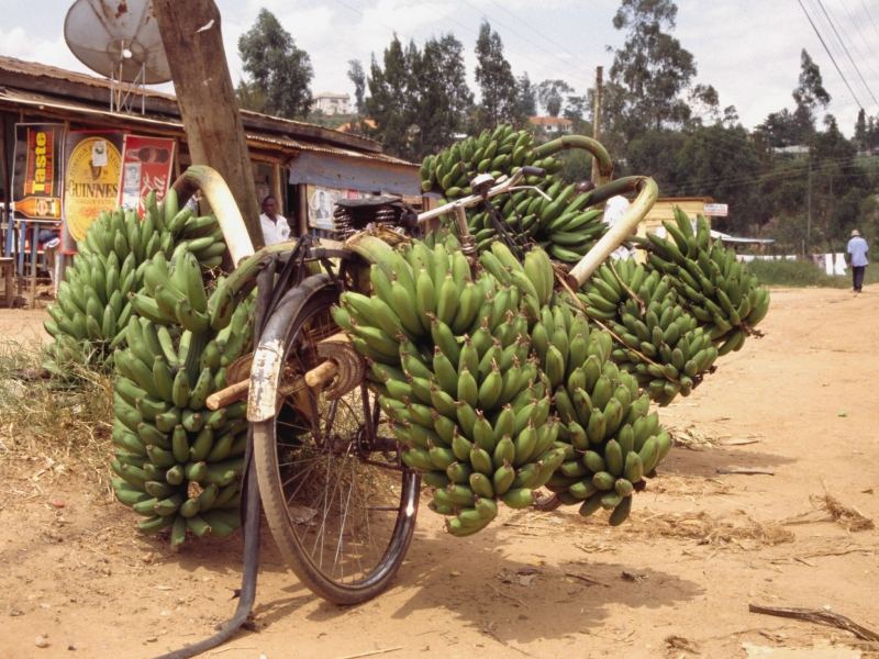 Schwertransport in Mbarara