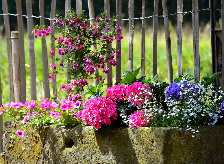 Schwester s Blumenkübel 