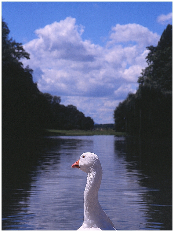 Schwetzingen