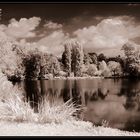 Schwetzingen Schlosspark (II)