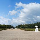 Schwetzingen - Schlosspark (II)