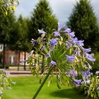 Schwetzingen - Schlosspark (III)