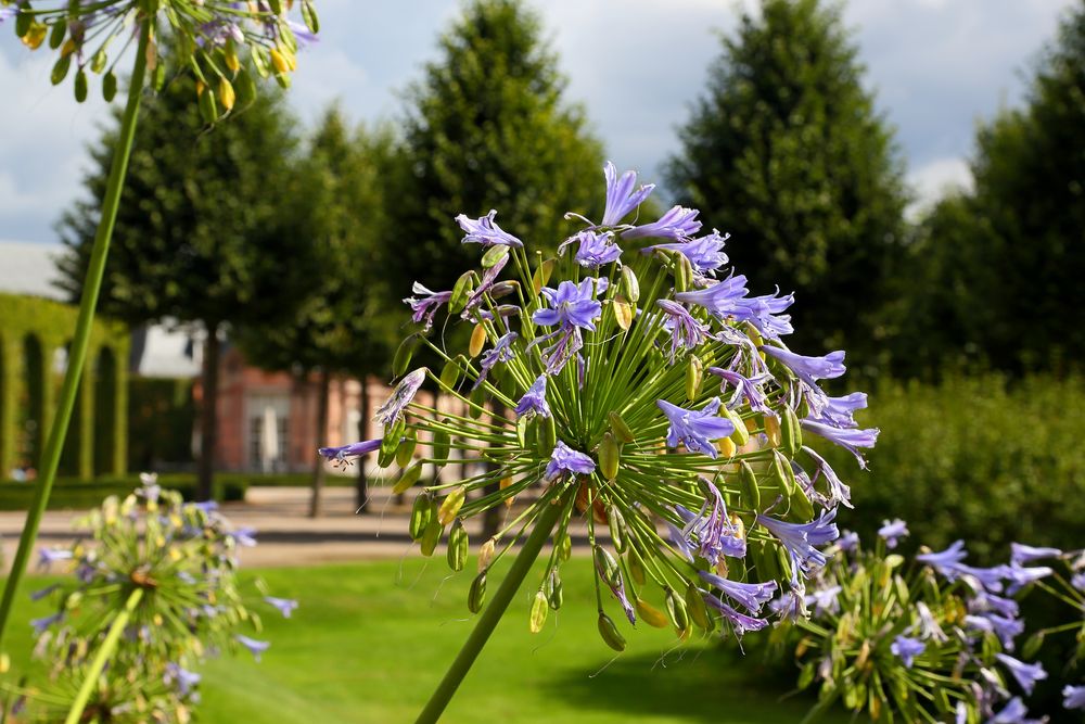 Schwetzingen - Schlosspark (III)