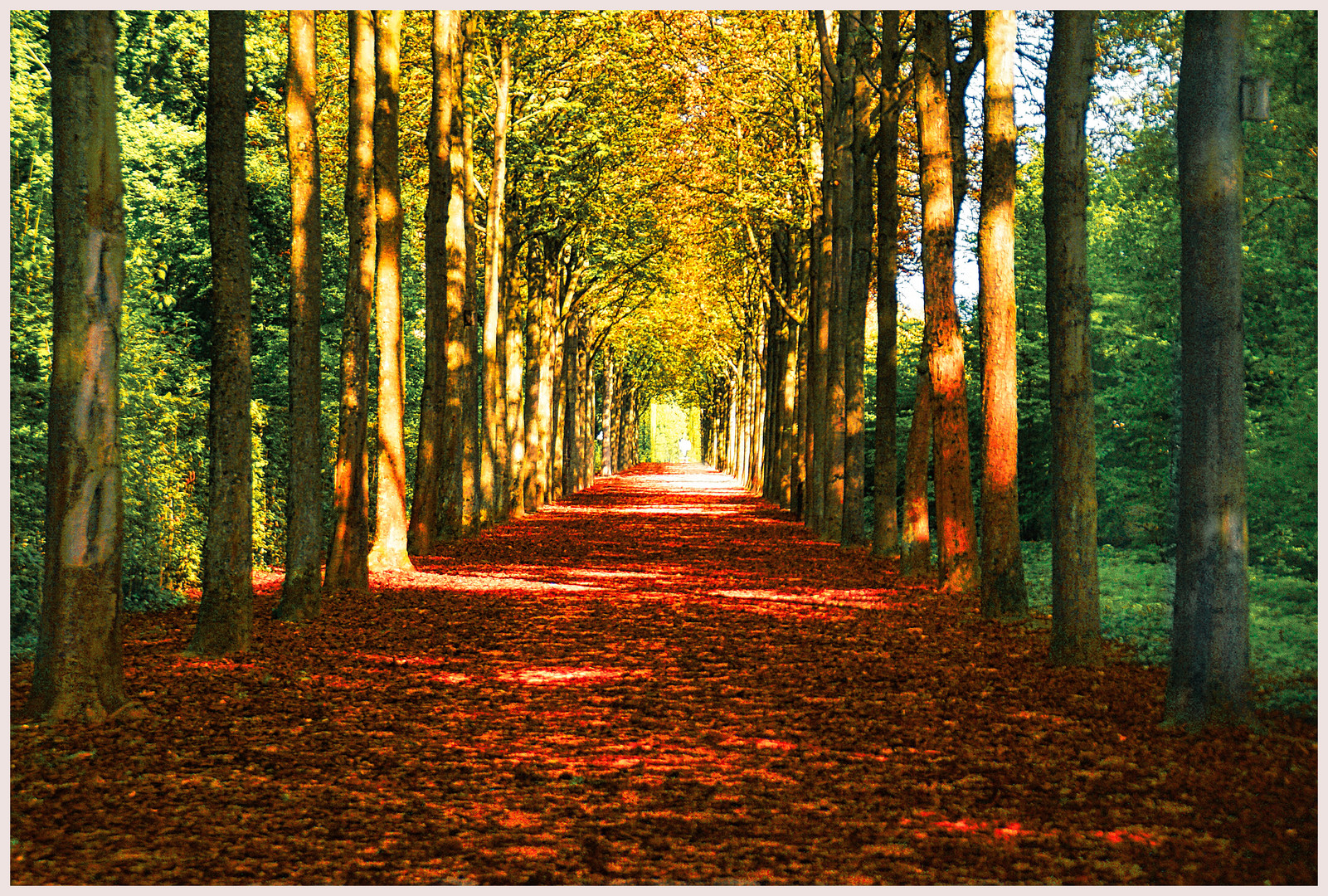 Schwetzingen Schloßpark im Herbst