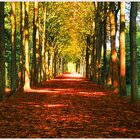 Schwetzingen Schloßpark im Herbst