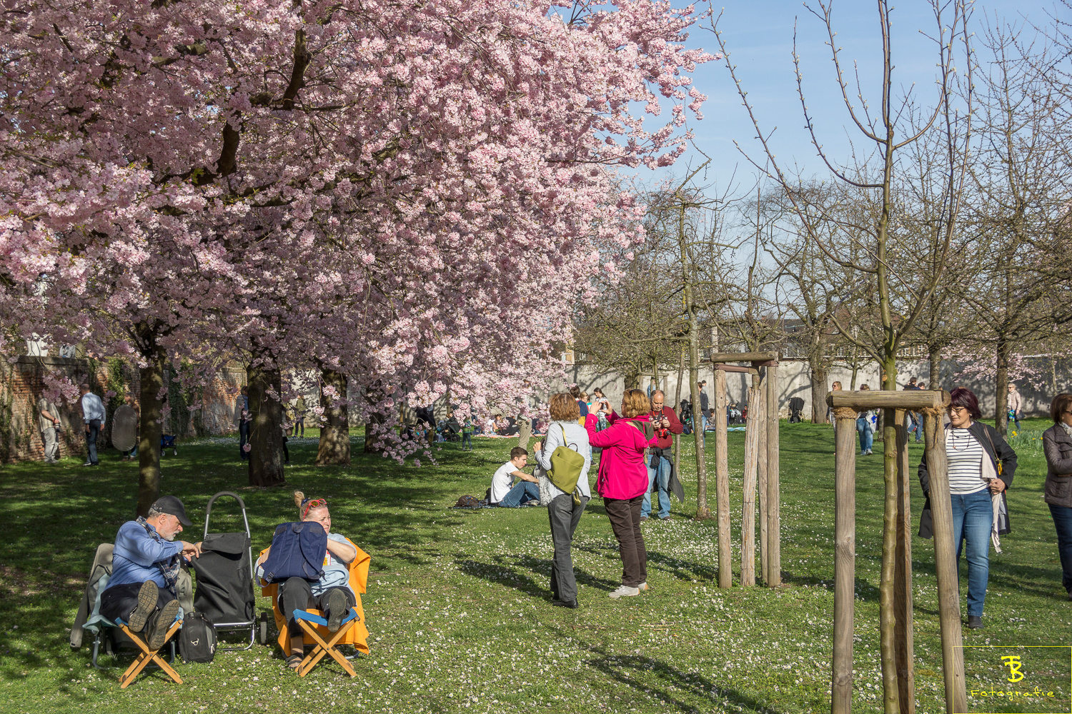 Schwetzingen_DSC00041