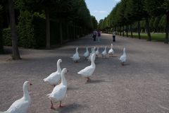 Schwetzingen_Schlosspark Momente 6