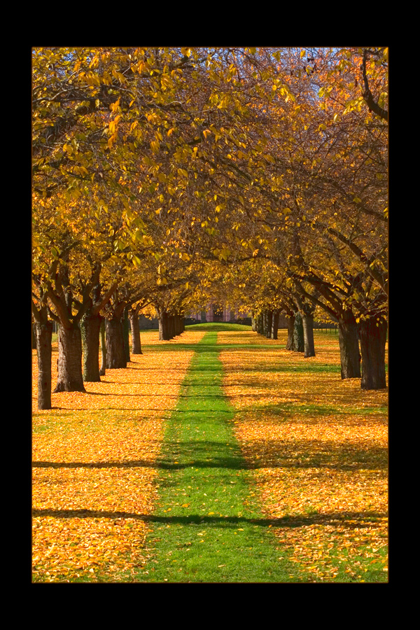 Schwetzinger Herbst