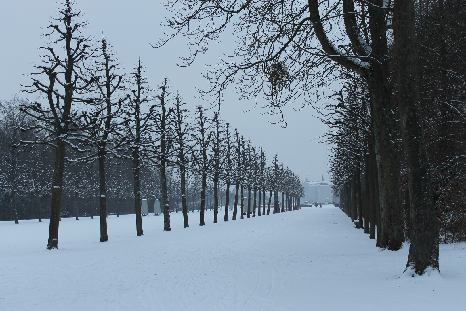 Schwetzinger Schlossgarten im Winterkleid