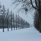 Schwetzinger Schlossgarten im Winterkleid