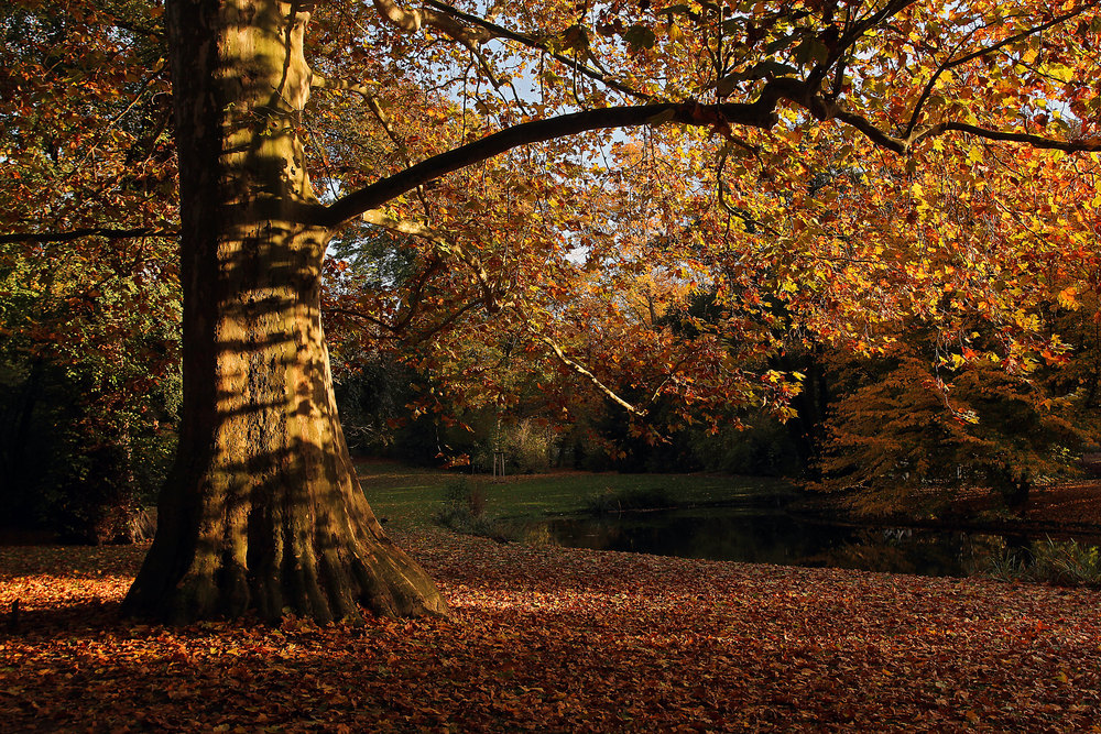 Schwetzinger Schlossgartenherbst 2