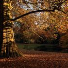 Schwetzinger Schlossgartenherbst 2