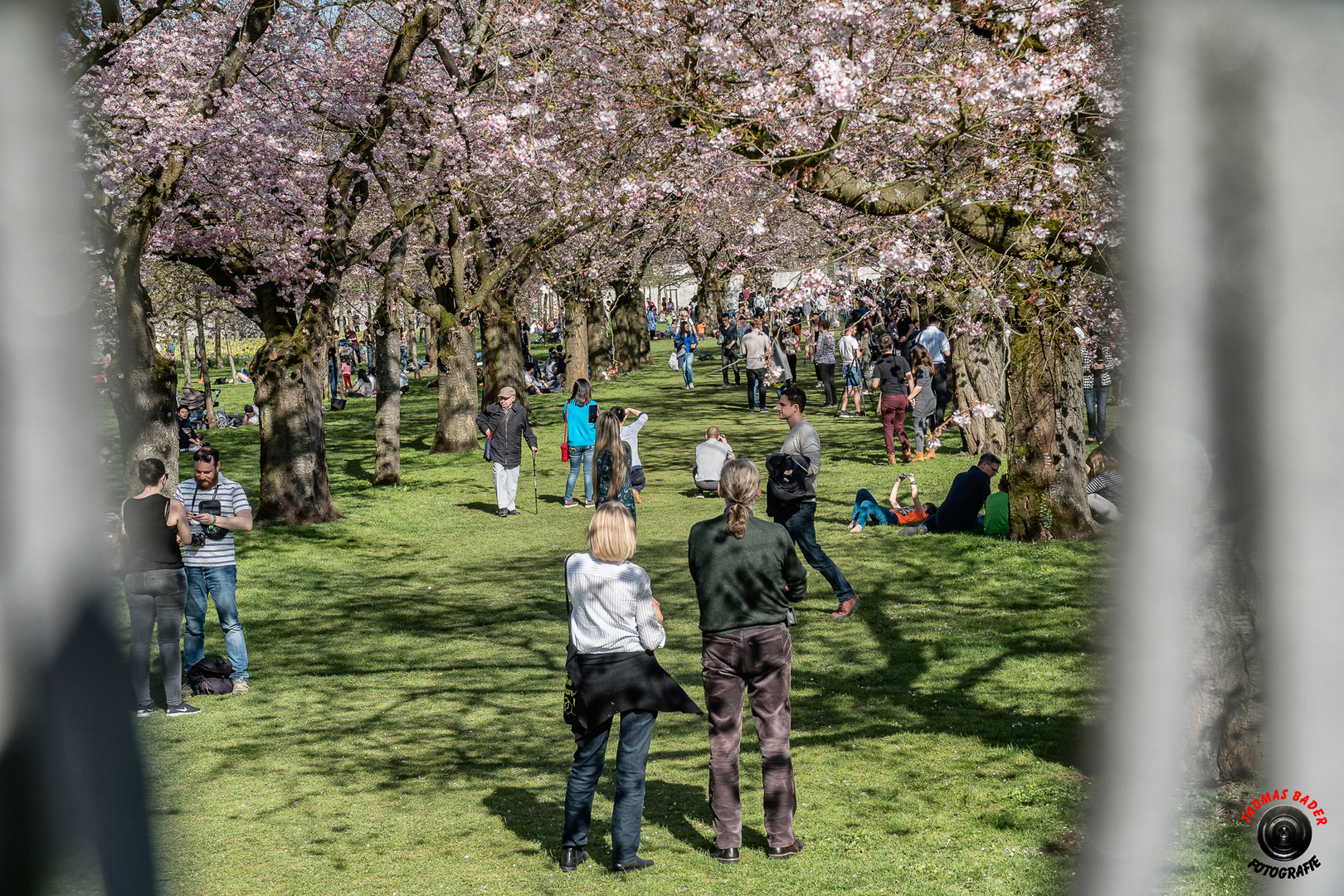 Schwetzinger Schloßpark