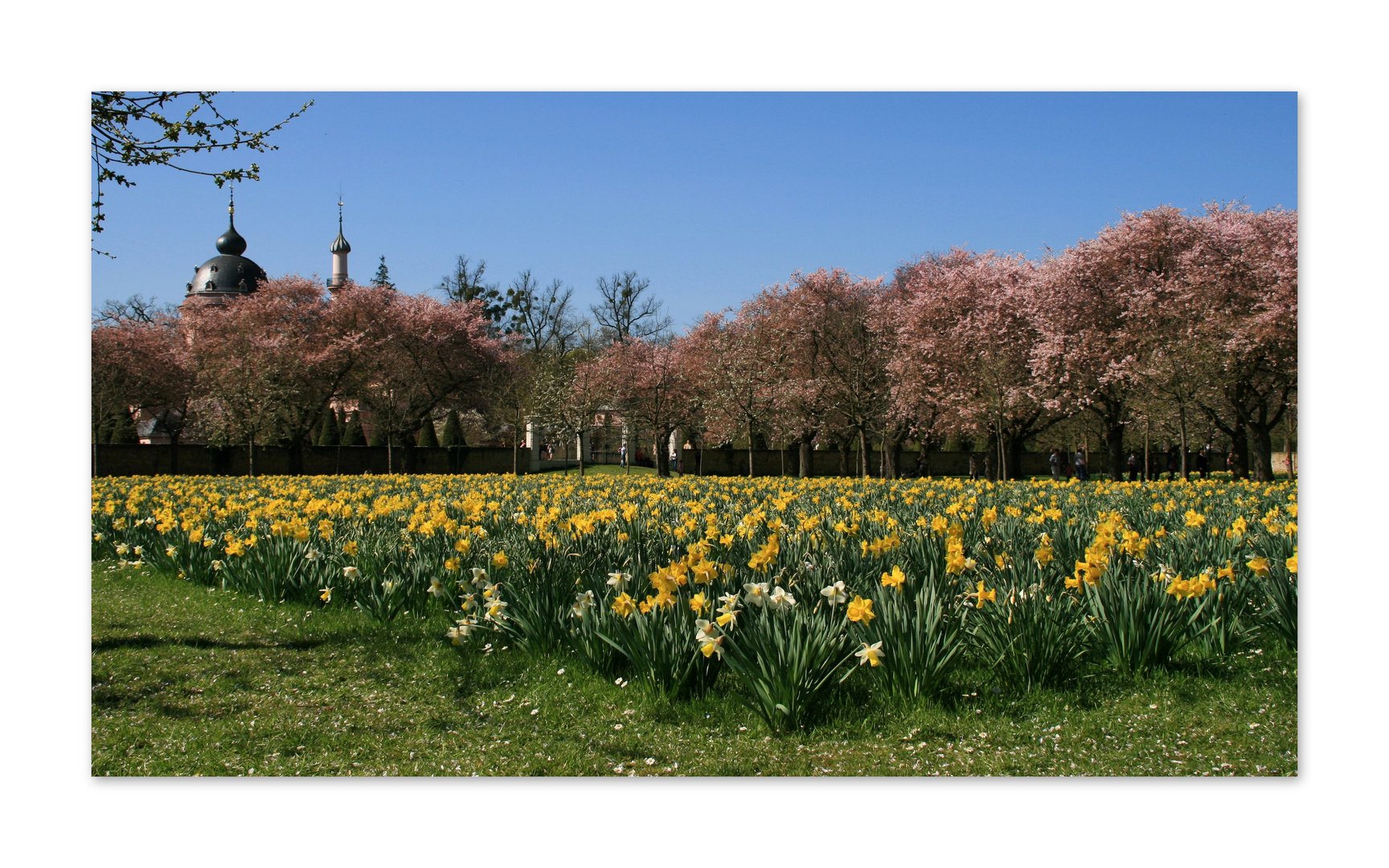 Schwetzinger Schlosspark Impression