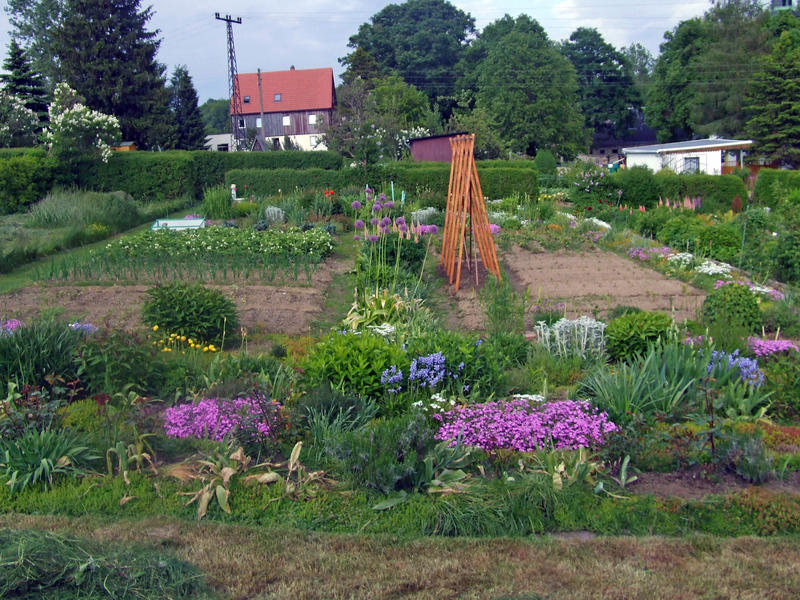 Schwiegermutters Garten