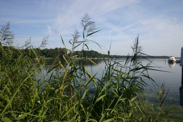 Schwielowsee bei Ferch