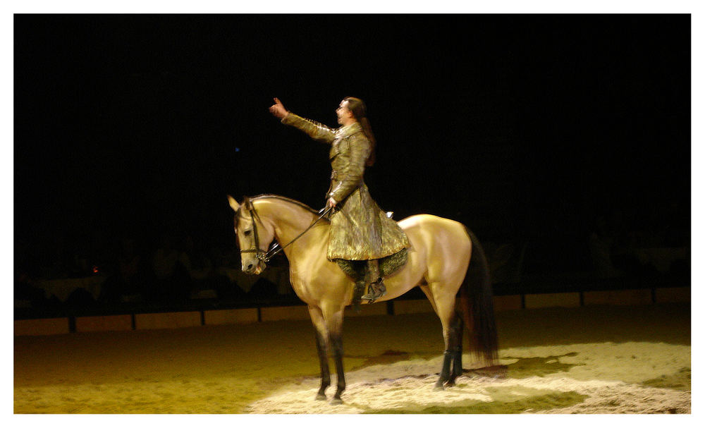 Schwierig ein pferd bei einer perfomance gut zu treffen - ich habs versucht