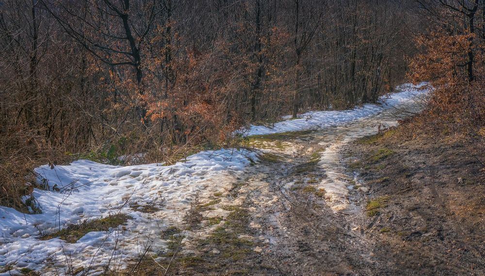 Schwierige Wegverhältnisse