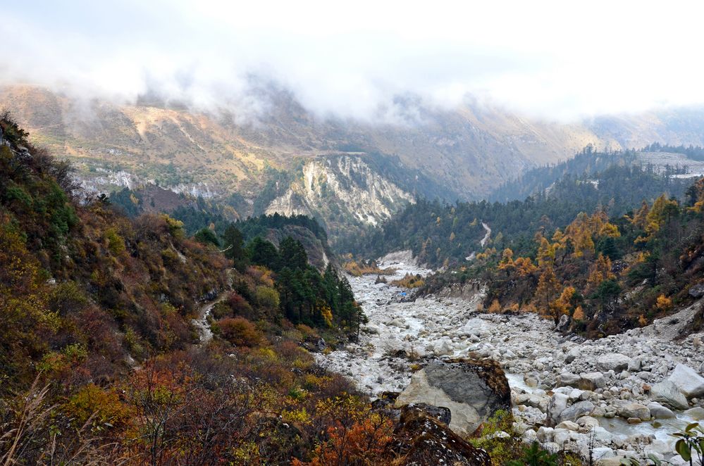 Schwieriger Weg zwischen Pungyen Gompa und Samagaon.