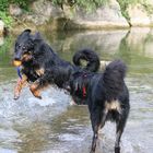 Schwimmausflug mit Djamilla und Bruder Domingo