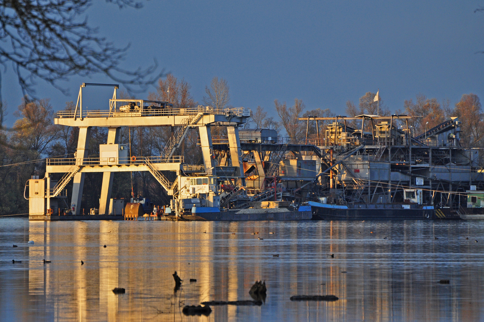 Schwimmbagger am Rhein