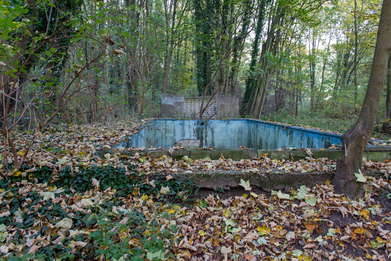 Schwimmbecken im Garten